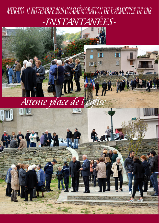 Artic.11-11A.jpg